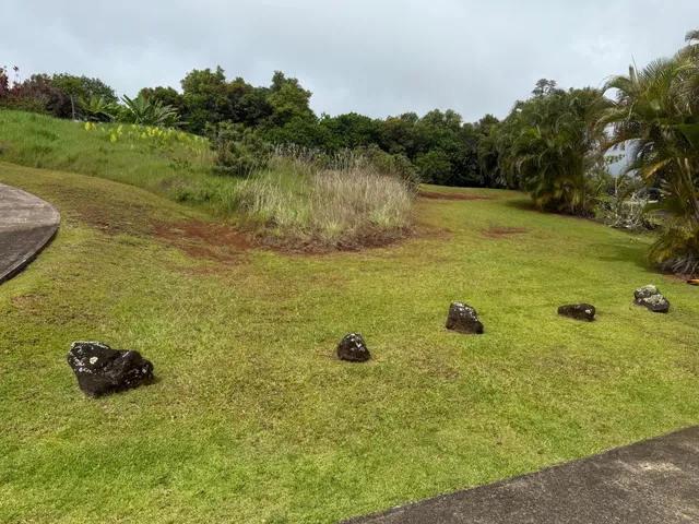 a view of a water pond with a yard