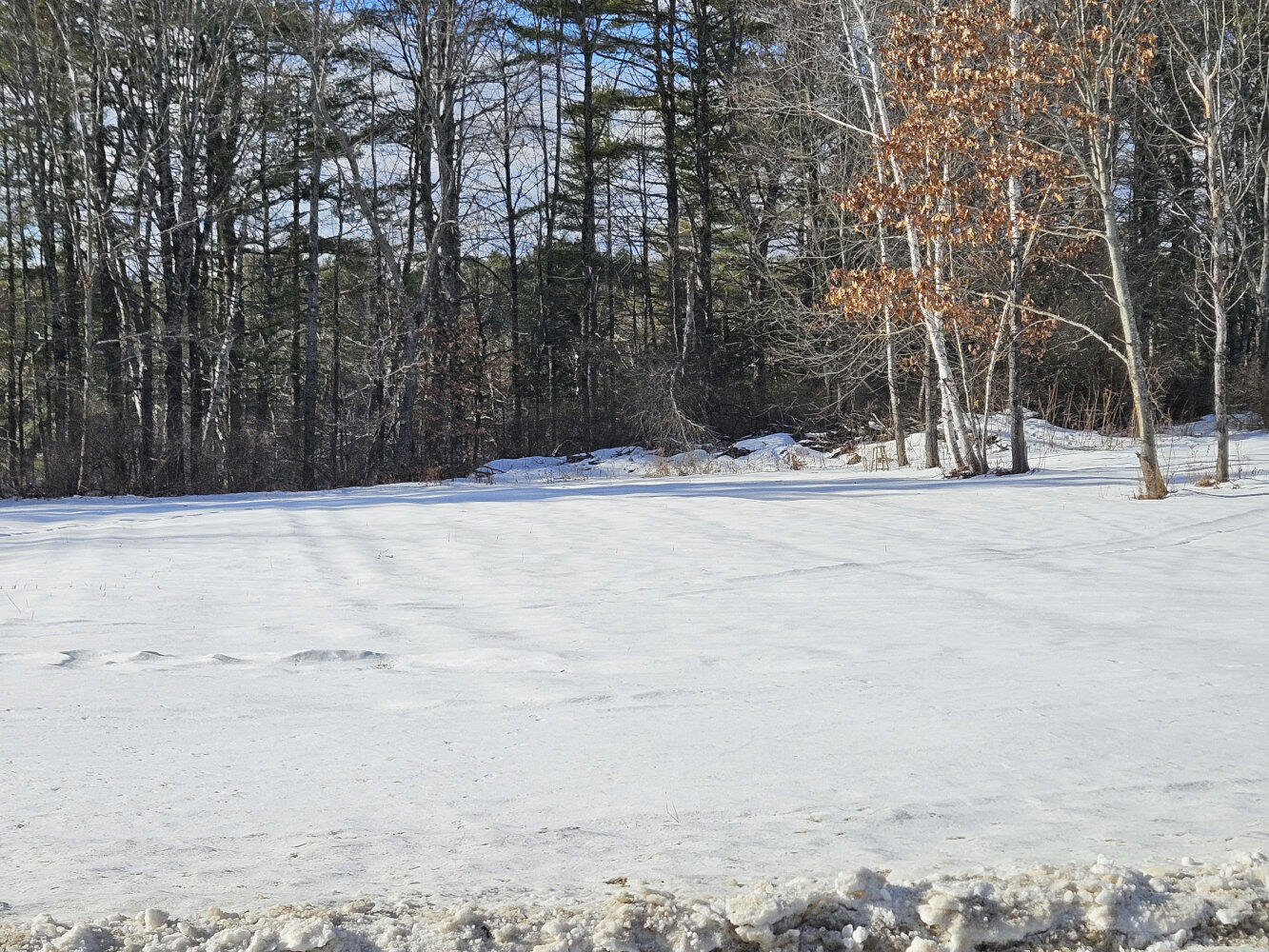 Tbd East River Road Skowhegan, ME 04976 - Photo 12 of 13 20260113_122757_result