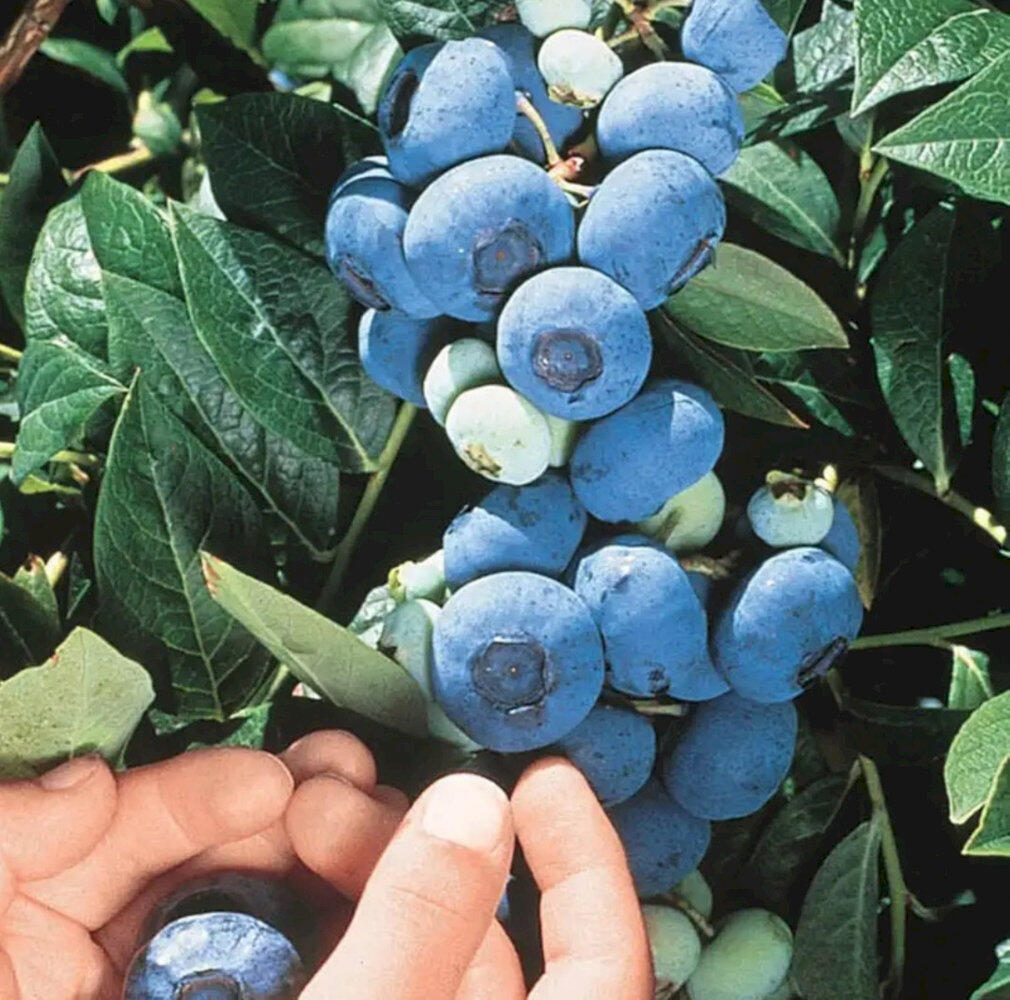 Tbd East River Road Skowhegan, ME 04976 - Photo 13 of 13 Screenshot_20260203_182951_Chrome_result