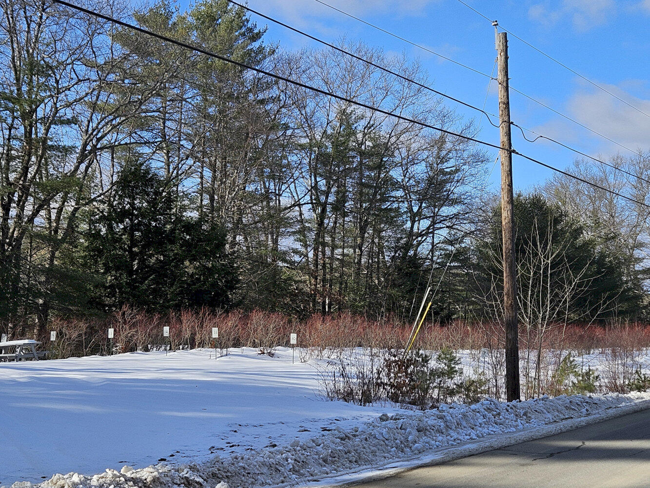 Tbd East River Road Skowhegan, ME 04976 - Photo 2 of 13 1_result