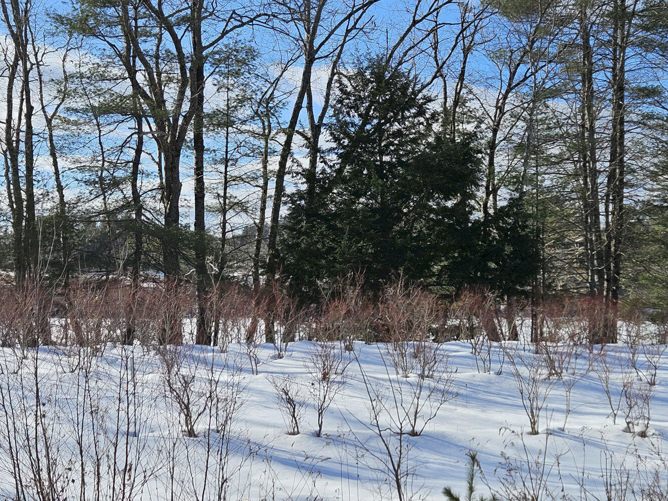 Tbd East River Road Skowhegan, ME 04976 - Photo 6 of 13 20260113_122652_result