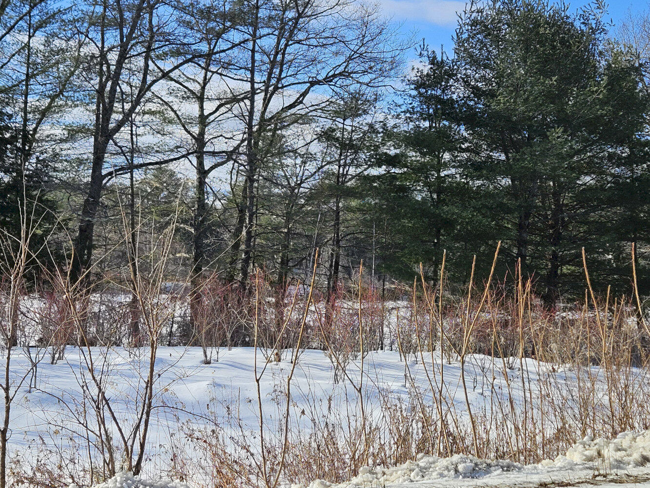 Tbd East River Road Skowhegan, ME 04976 - Photo 7 of 13 20260113_122700_result