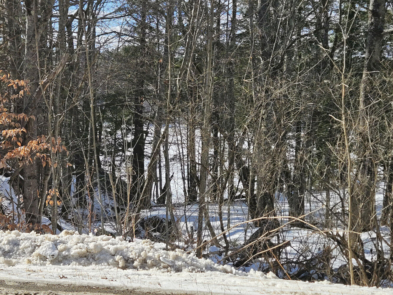 Tbd East River Road Skowhegan, ME 04976 - Photo 9 of 13 20260113_122732_result