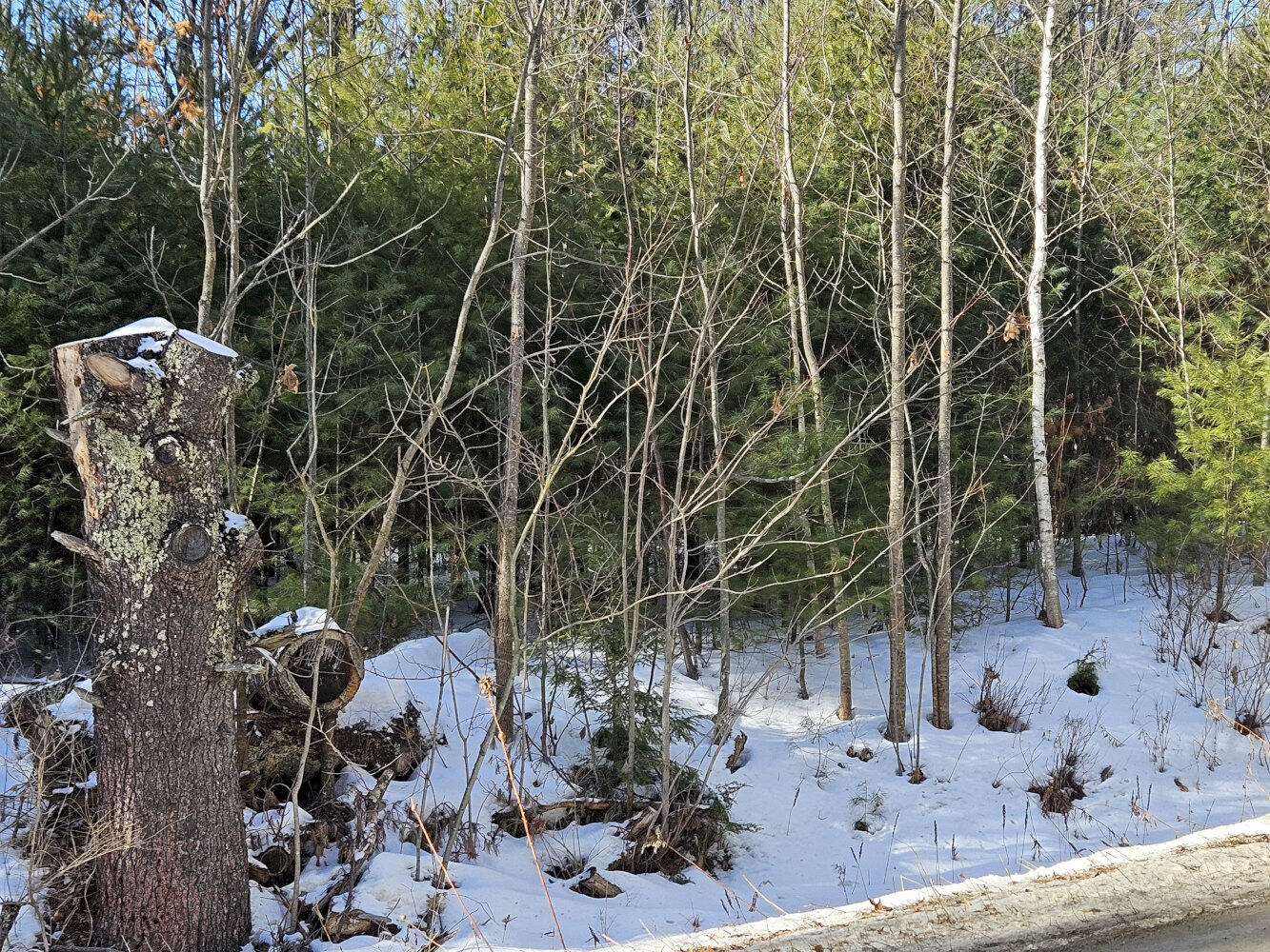 Tbd East River Road Skowhegan, ME 04976 - Photo 10 of 13 20260113_122738_result