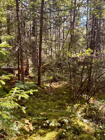 $66,900 | 0 Thorn Hill Road, Unit 406/22, Bethlehem, NH 03574