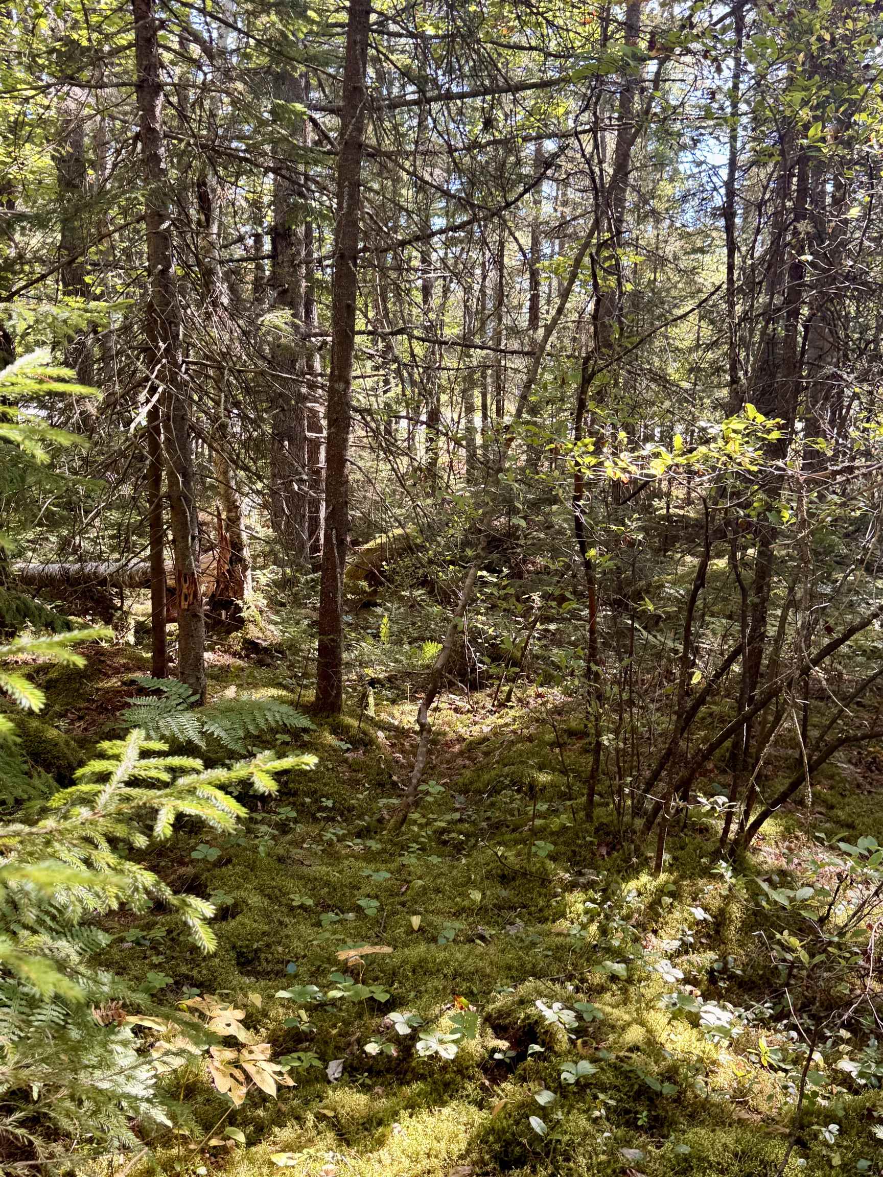 0 Thorn Hill Road, Unit 406/22 Bethlehem, NH 03574 - Photo 14 of 20