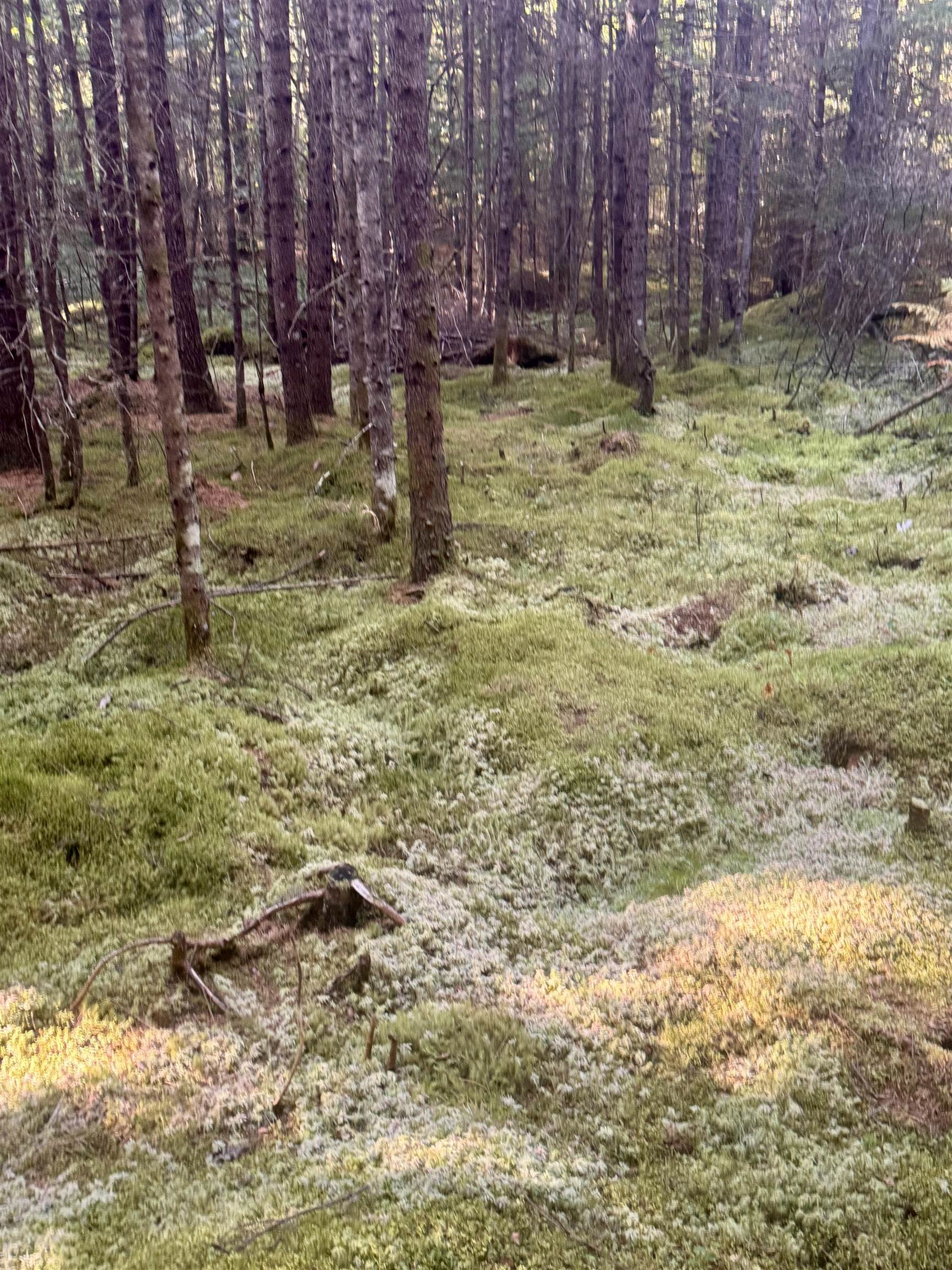 0 Thorn Hill Road, Unit 406/22 Bethlehem, NH 03574 - Photo 15 of 20