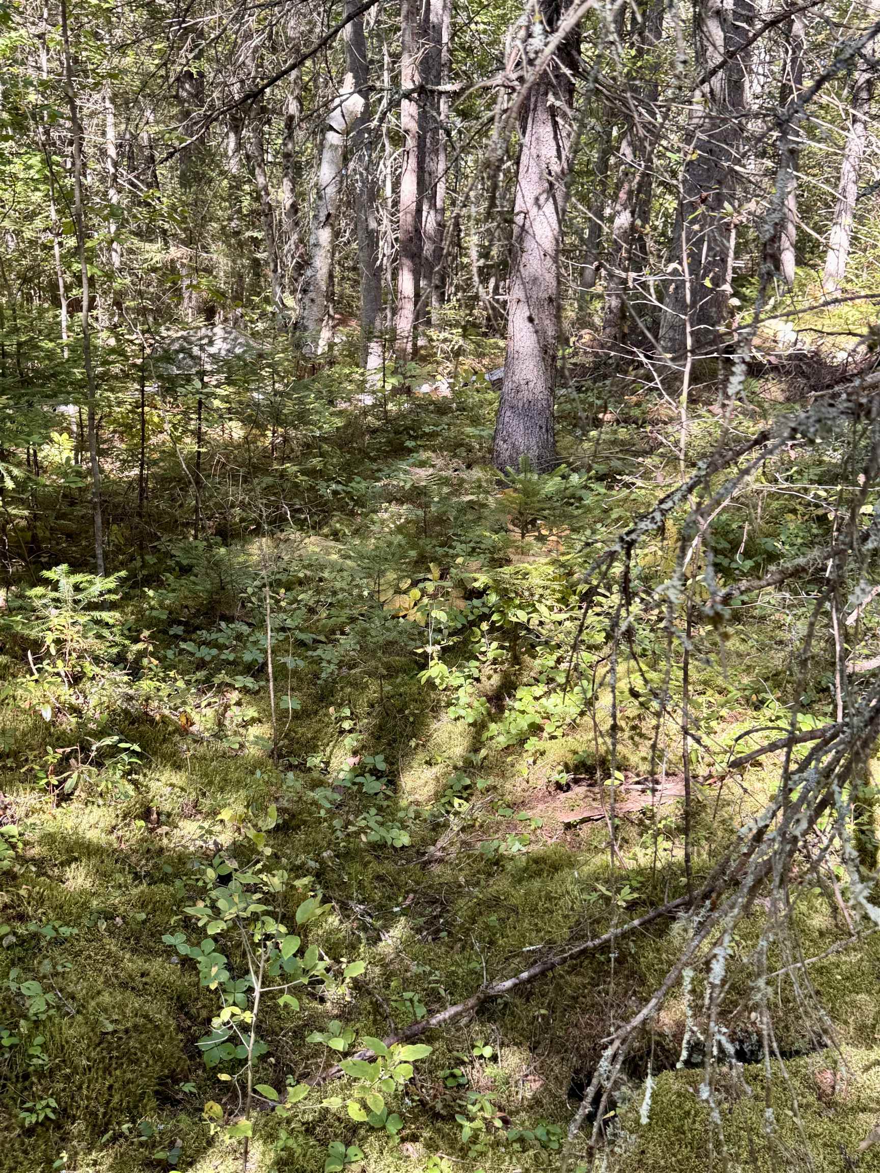 0 Thorn Hill Road, Unit 406/22 Bethlehem, NH 03574 - Photo 16 of 20