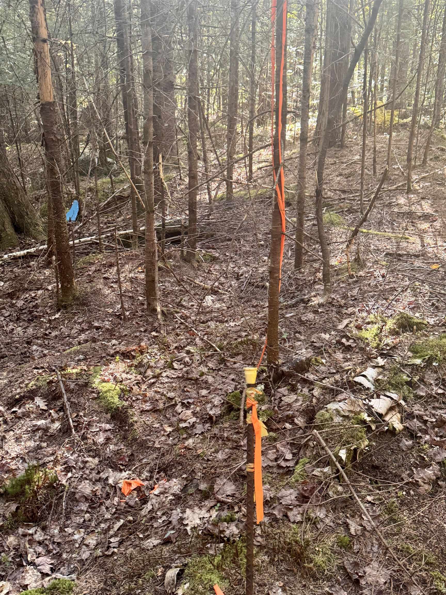 0 Thorn Hill Road, Unit 406/22 Bethlehem, NH 03574 - Photo 18 of 20