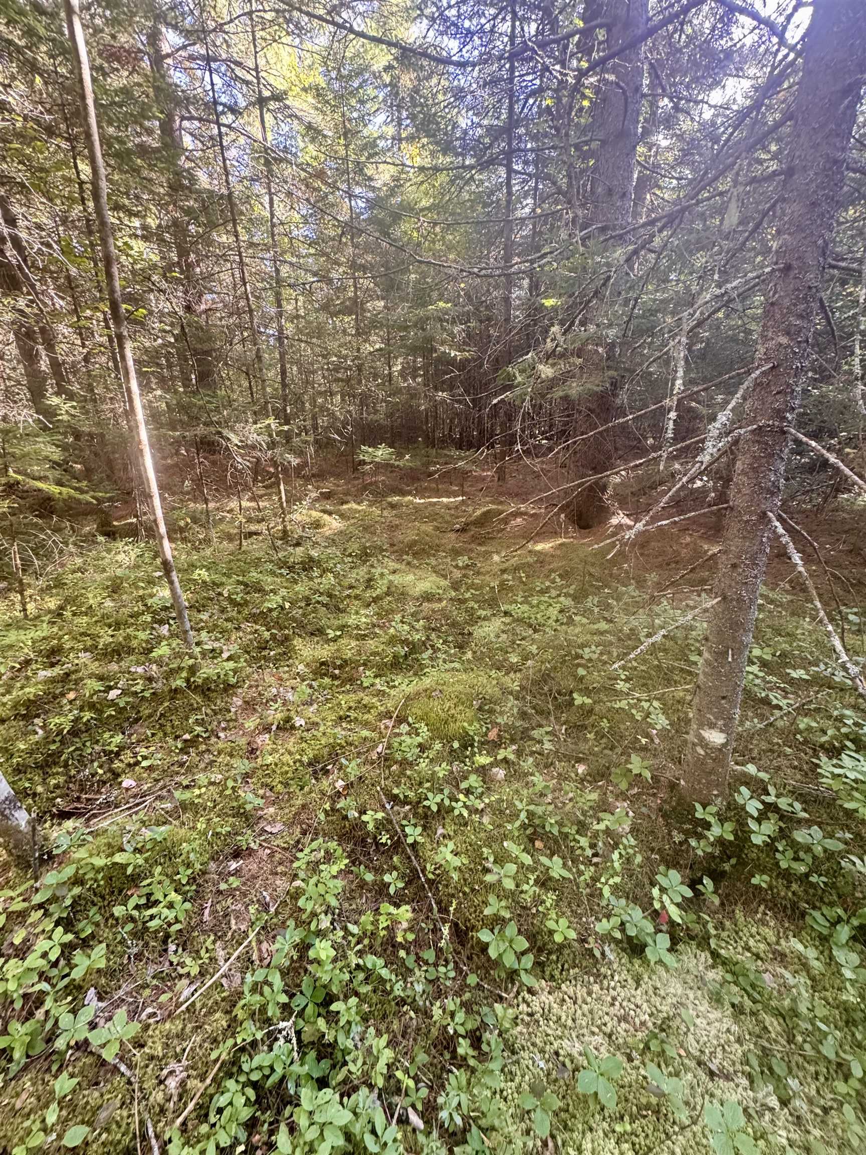 0 Thorn Hill Road, Unit 406/22 Bethlehem, NH 03574 - Photo 19 of 20