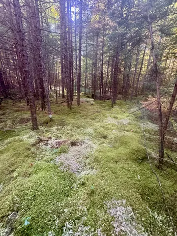 $66,900 | 0 Thorn Hill Road, Unit 406/22, Bethlehem, NH 03574