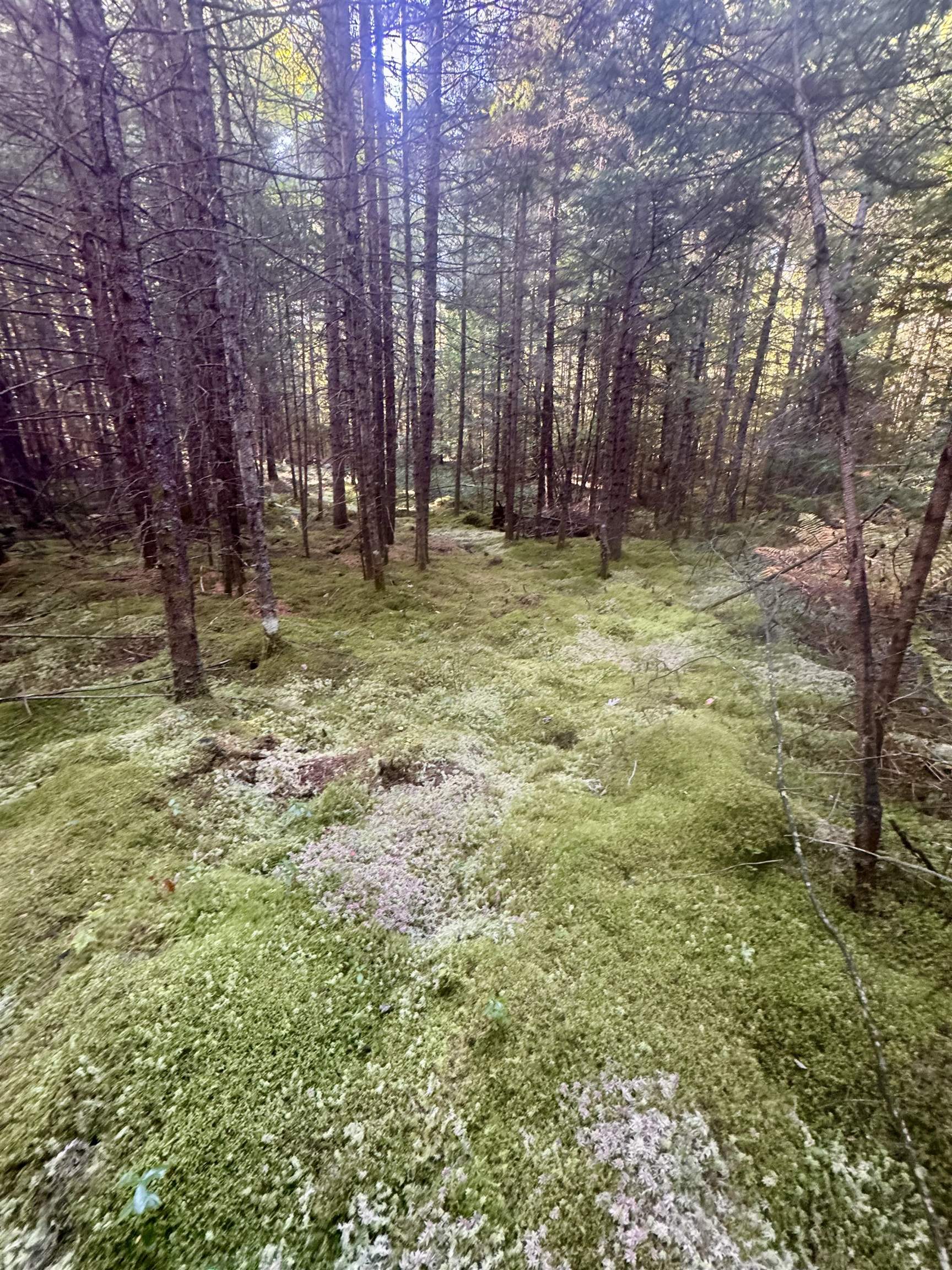 0 Thorn Hill Road, Unit 406/22 Bethlehem, NH 03574 - Photo 4 of 20