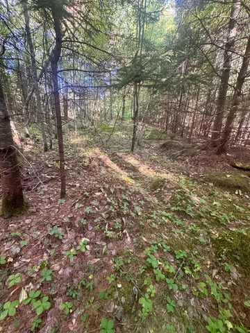 $66,900 | 0 Thorn Hill Road, Unit 406/22, Bethlehem, NH 03574