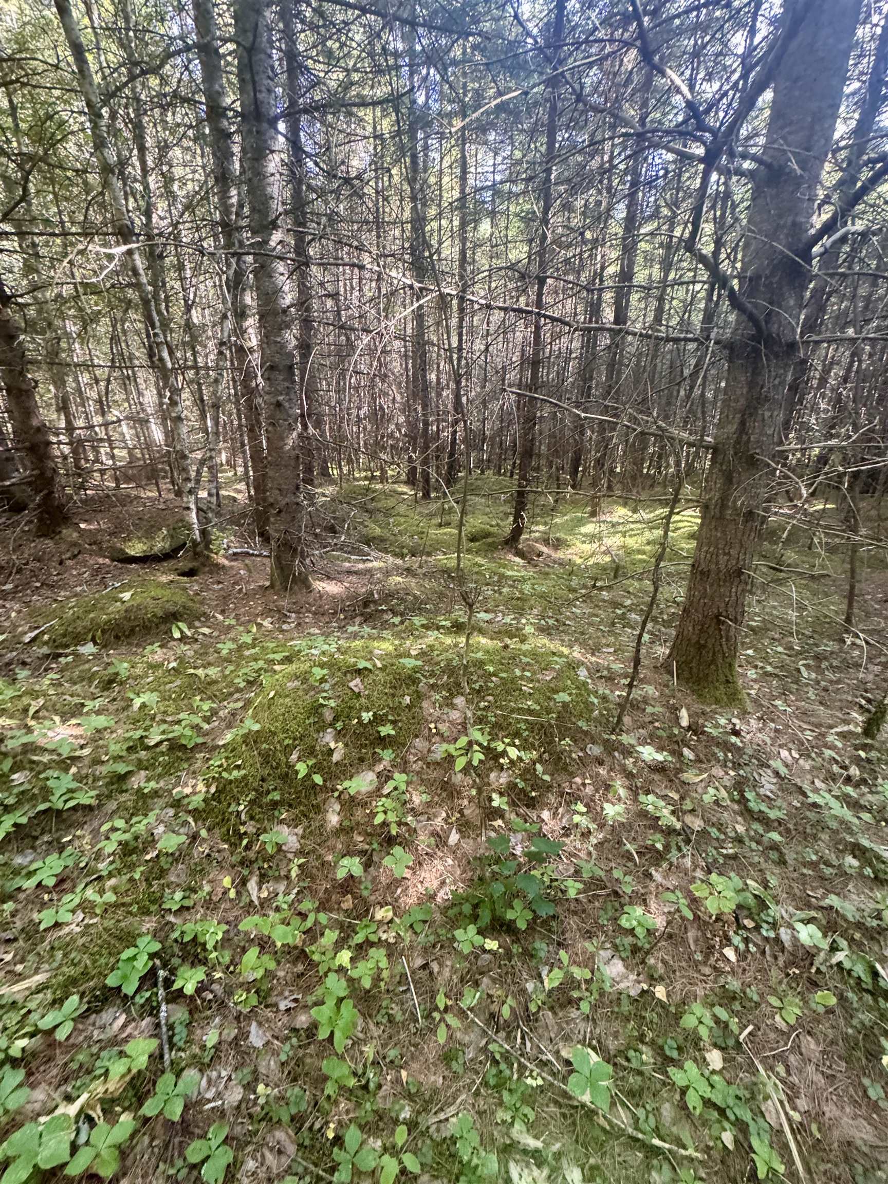 0 Thorn Hill Road, Unit 406/22 Bethlehem, NH 03574 - Photo 6 of 20