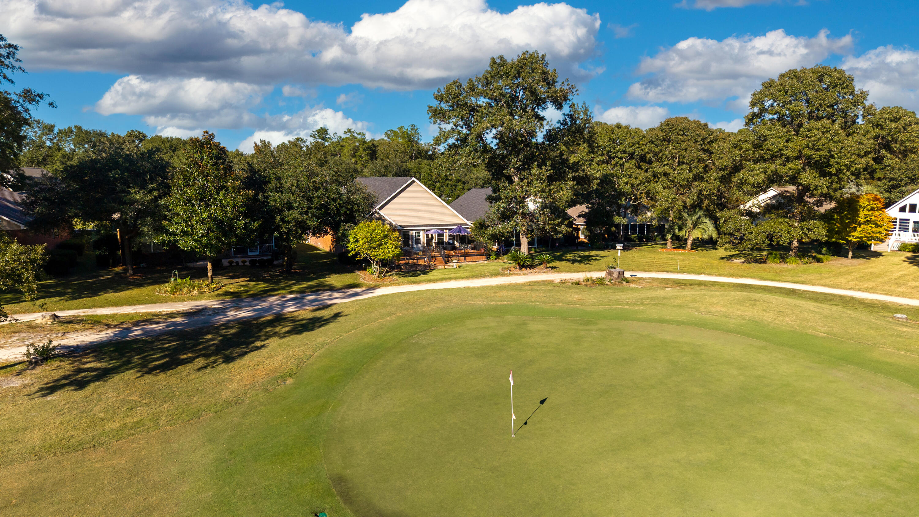 104 Oakview Circle Manning, SC 29102 - Photo 56 of 79 AERIAL