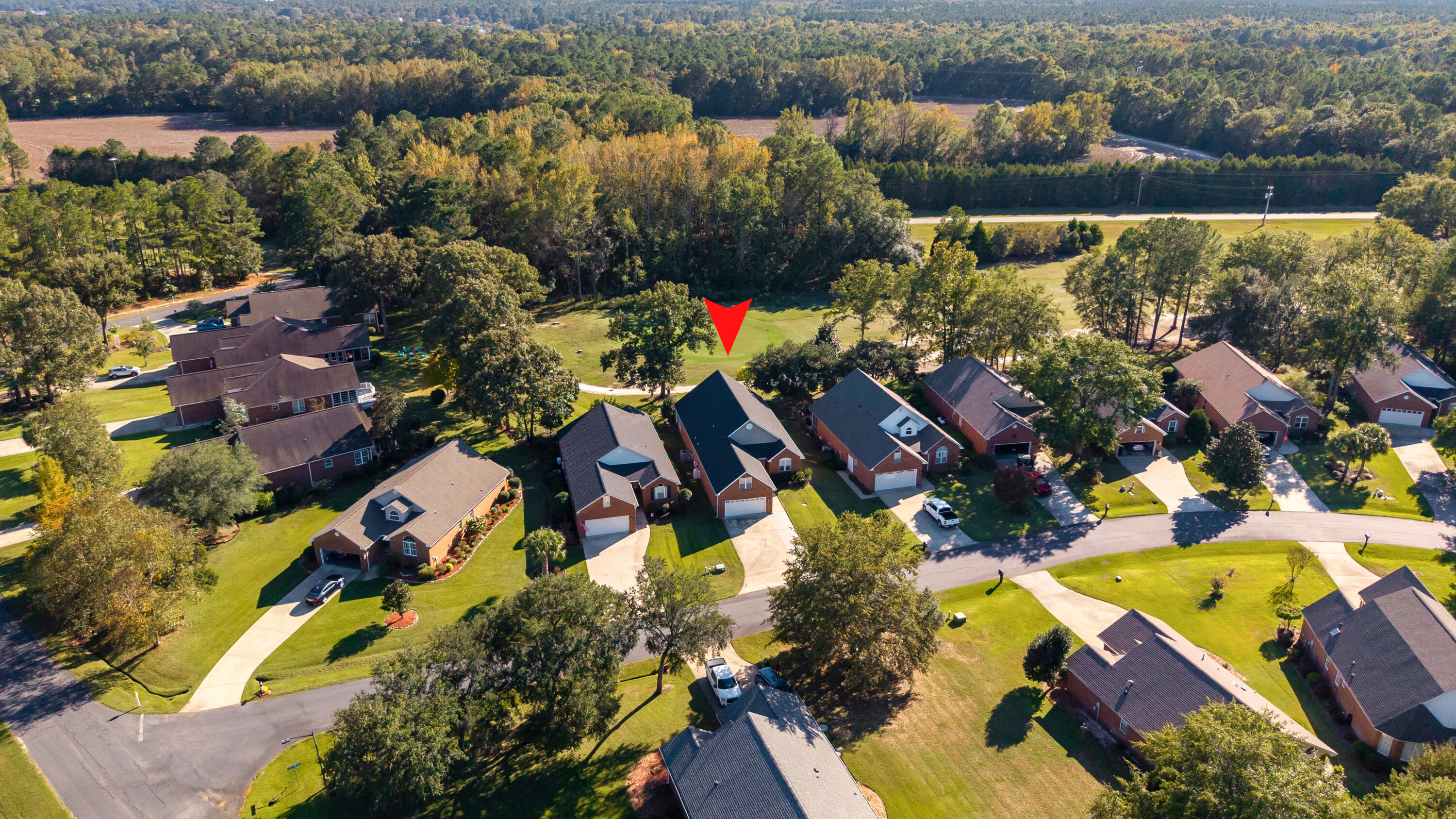 104 Oakview Circle Manning, SC 29102 - Photo 58 of 79 AERIAL