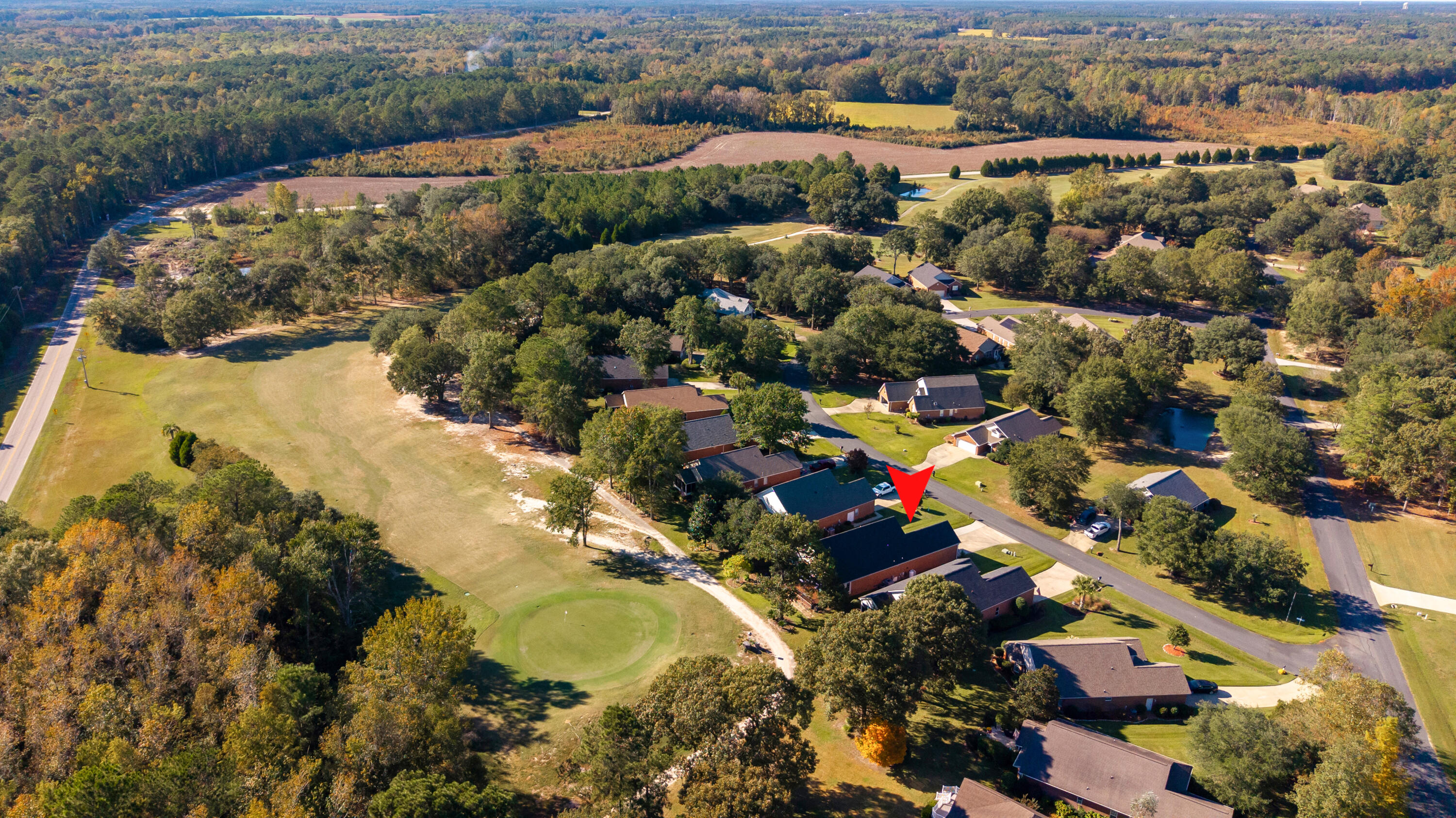 104 Oakview Circle Manning, SC 29102 - Photo 59 of 79 AERIAL