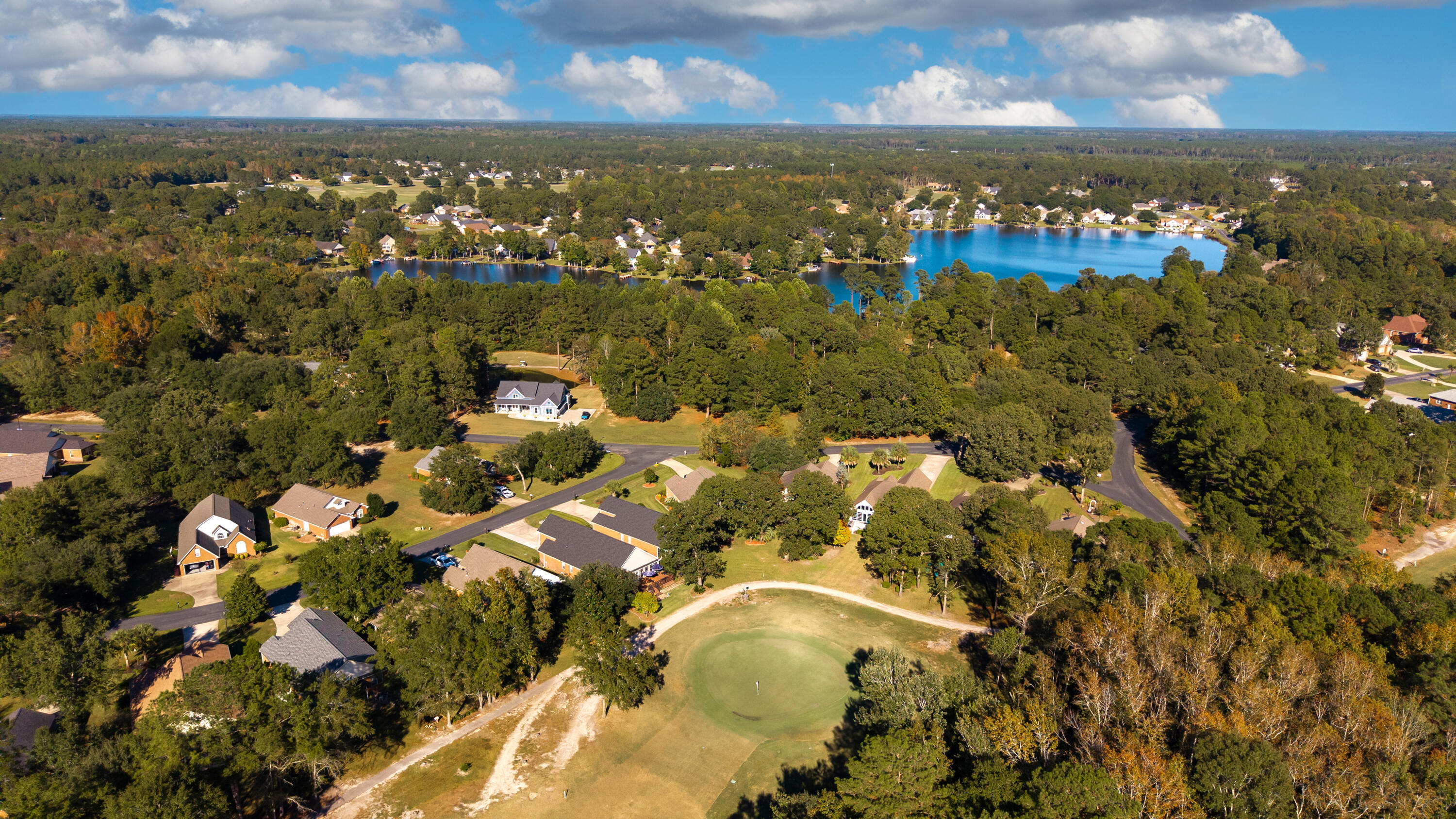 104 Oakview Circle Manning, SC 29102 - Photo 61 of 79 AERIAL