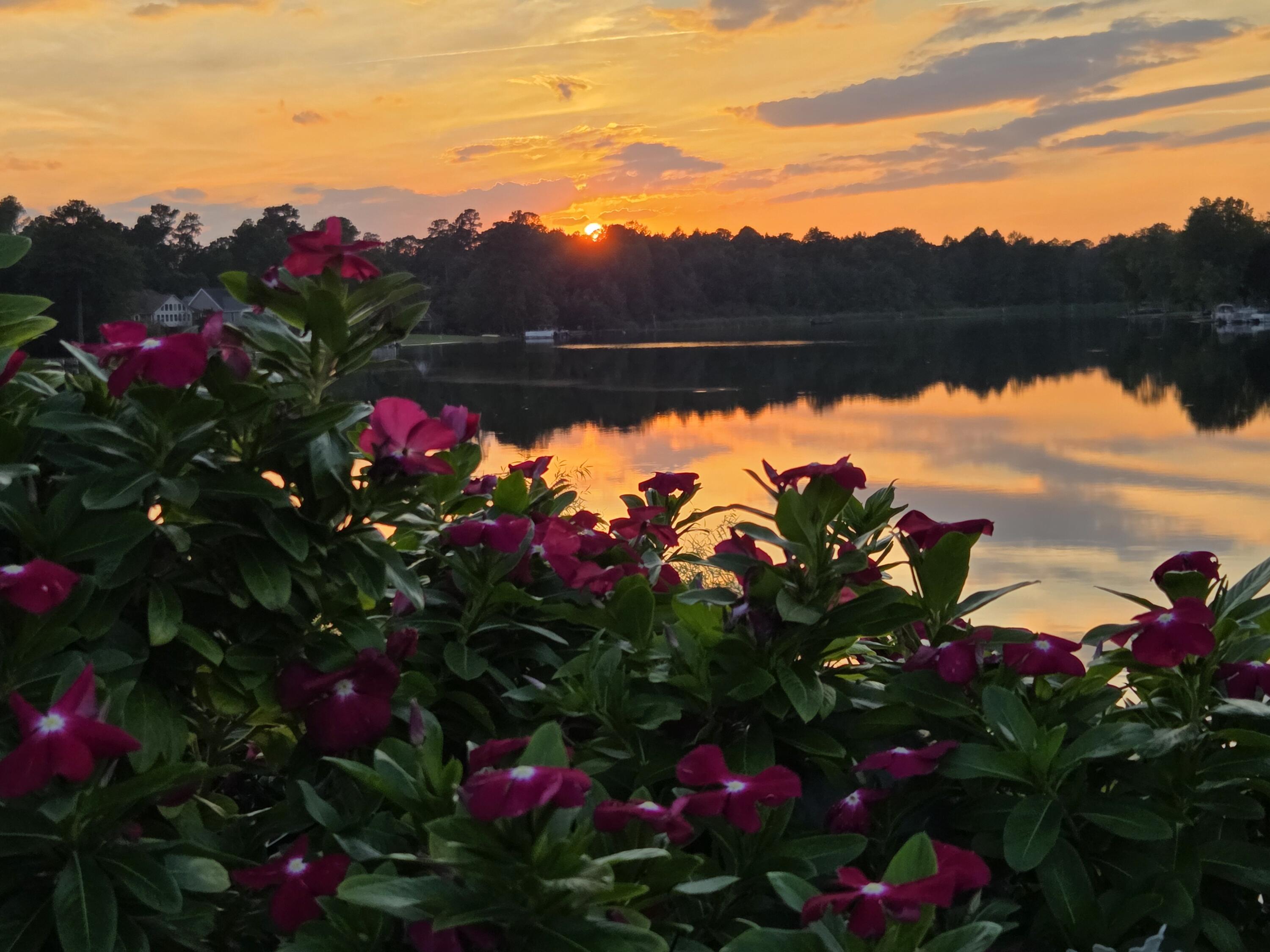 104 Oakview Circle Manning, SC 29102 - Photo 79 of 79 SUNSET VIEW