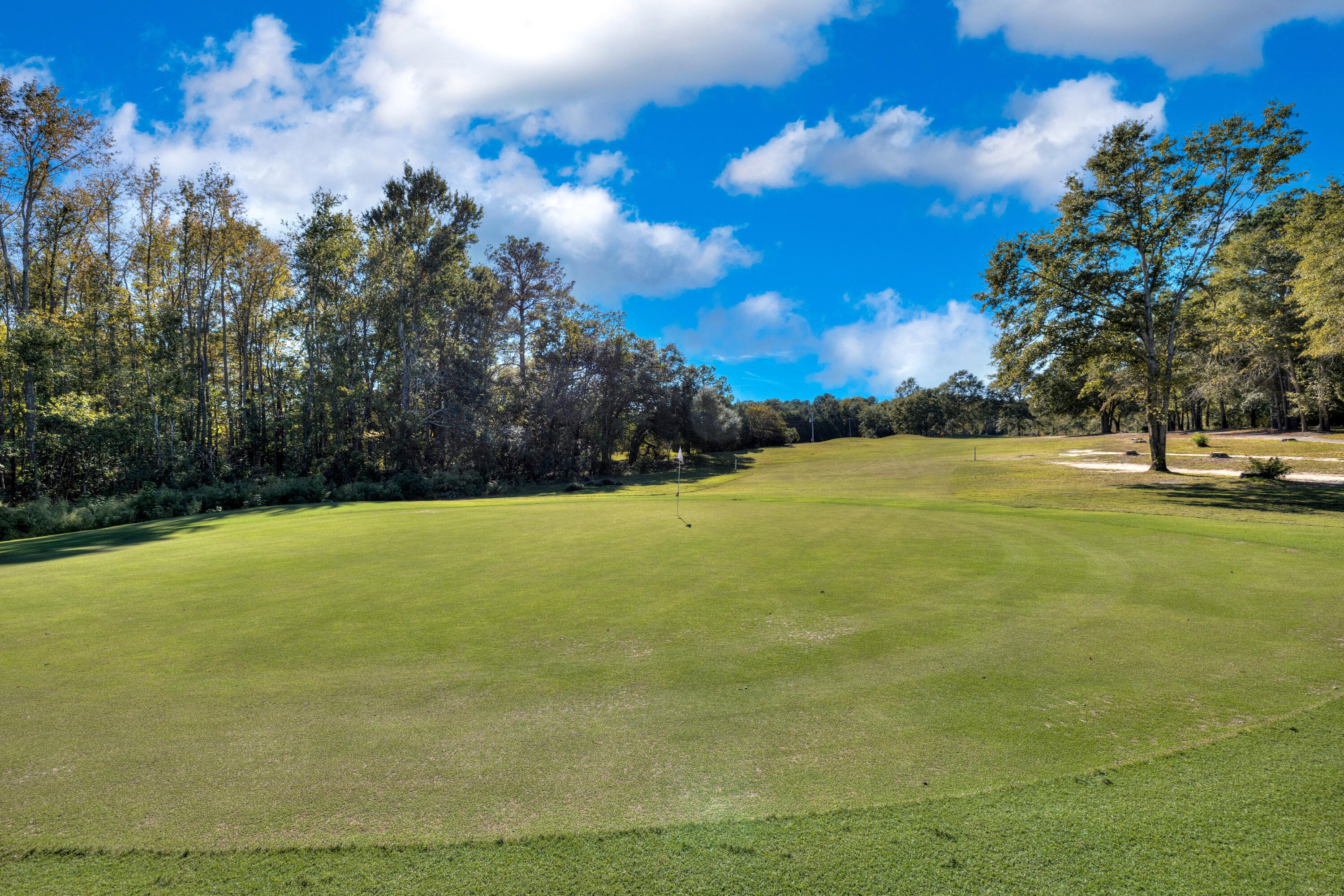 104 Oakview Circle Manning, SC 29102 - Photo 10 of 79 NUMBER 3 GREEN