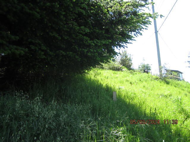 232 Nob Hill Road Shelter Cove, CA 95589 - Photo 16 of 20