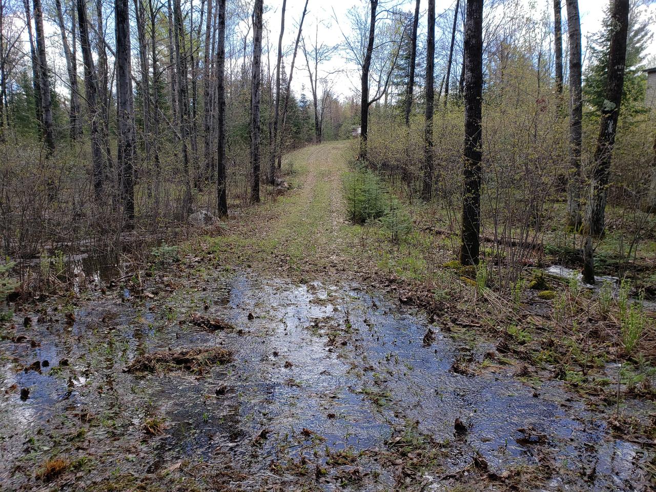 End Of Sanctuary Road Tomahawk, WI 54487 - Photo 13 of 14 Gallery Image 13