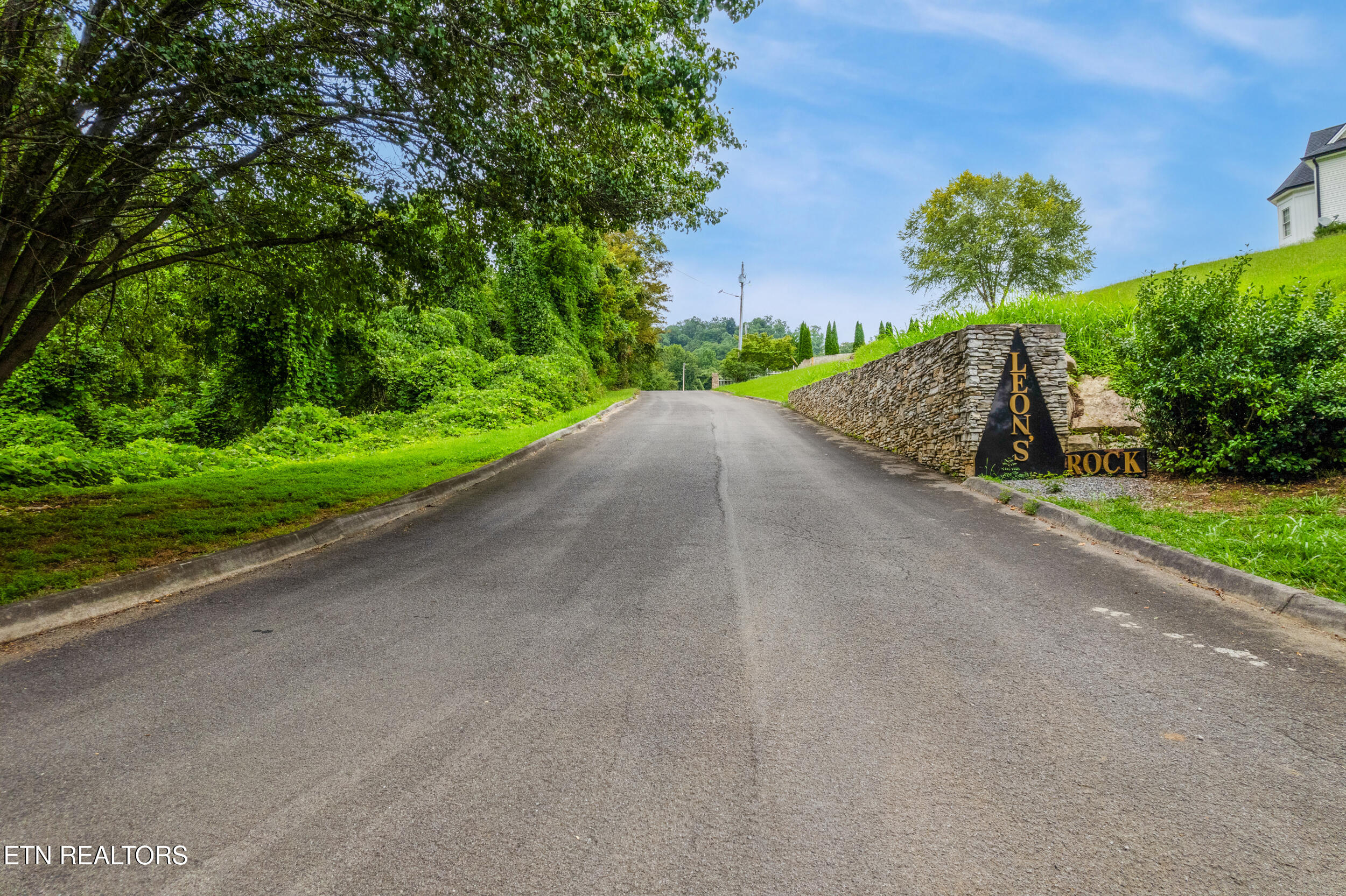 Rhondas Way Bean Station, TN 37708 - Photo 4 of 14 Leons Rock entrance
