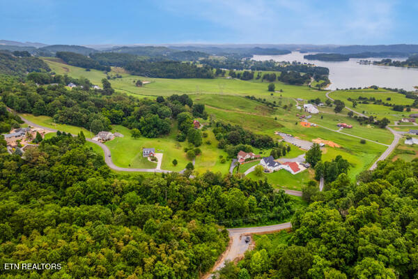 Rhondas Way Bean Station, TN 37708 - Photo 7 of 14 003_OzBq