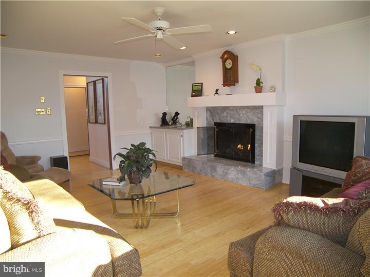 841 Richards Road Wayne, PA 19087 - Photo 3 of 25