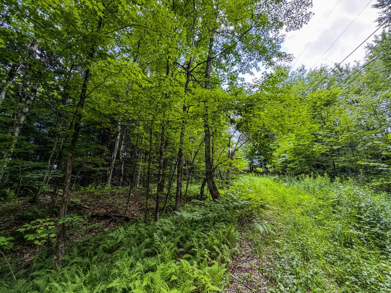 Tbd Wilder Road, Unit 2 Waterbury, VT 05676 - Photo 33 of 41