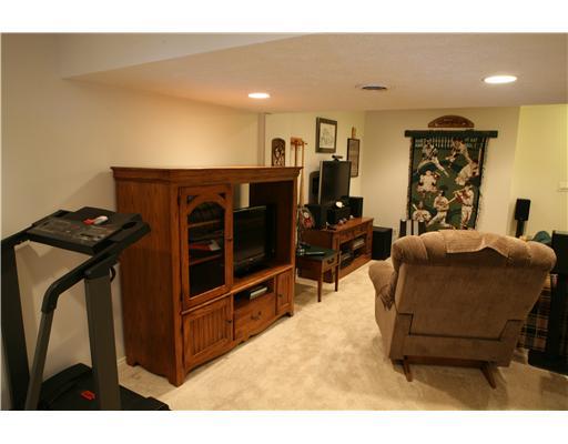 133 Lori Road Gibsonia, PA 15044 - Photo 14 of 18 Family Room. ADDITIONAL VIEW OF THE FINIHED LOWER LEVEL FAMILY/GAMEROOM.