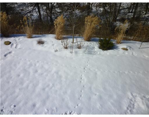 133 Lori Road Gibsonia, PA 15044 - Photo 3 of 18 Land/Lot. GRASSY BACK YARD SPACE WITH ROOM FOR PLAYSET.