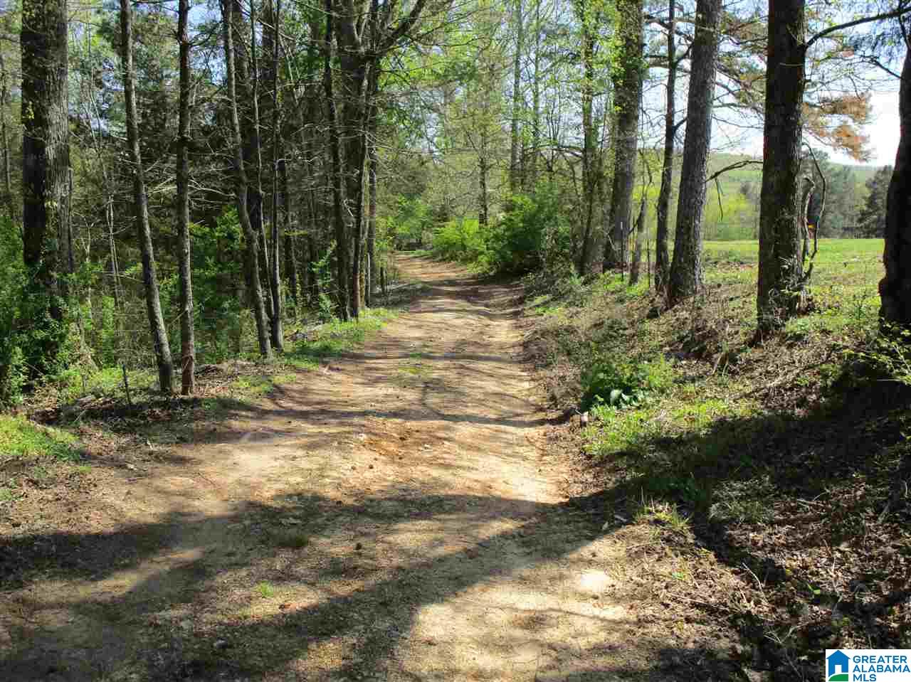 2553 Skyball Road Hayden, AL 35079 - Photo 23 of 33