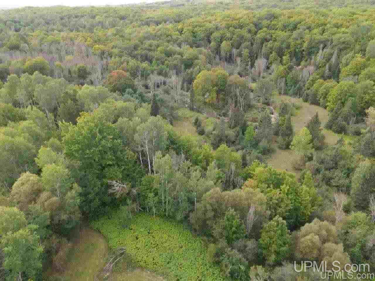 45895 Paradise Road Chassell, MI 49916 - Photo 17 of 45 Gallery Image 17