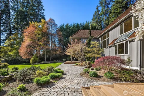 a view of a yard with plants and large trees