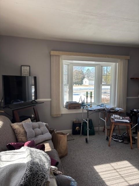 935 Watson Street Ripon, WI 54971 - Photo 15 of 36