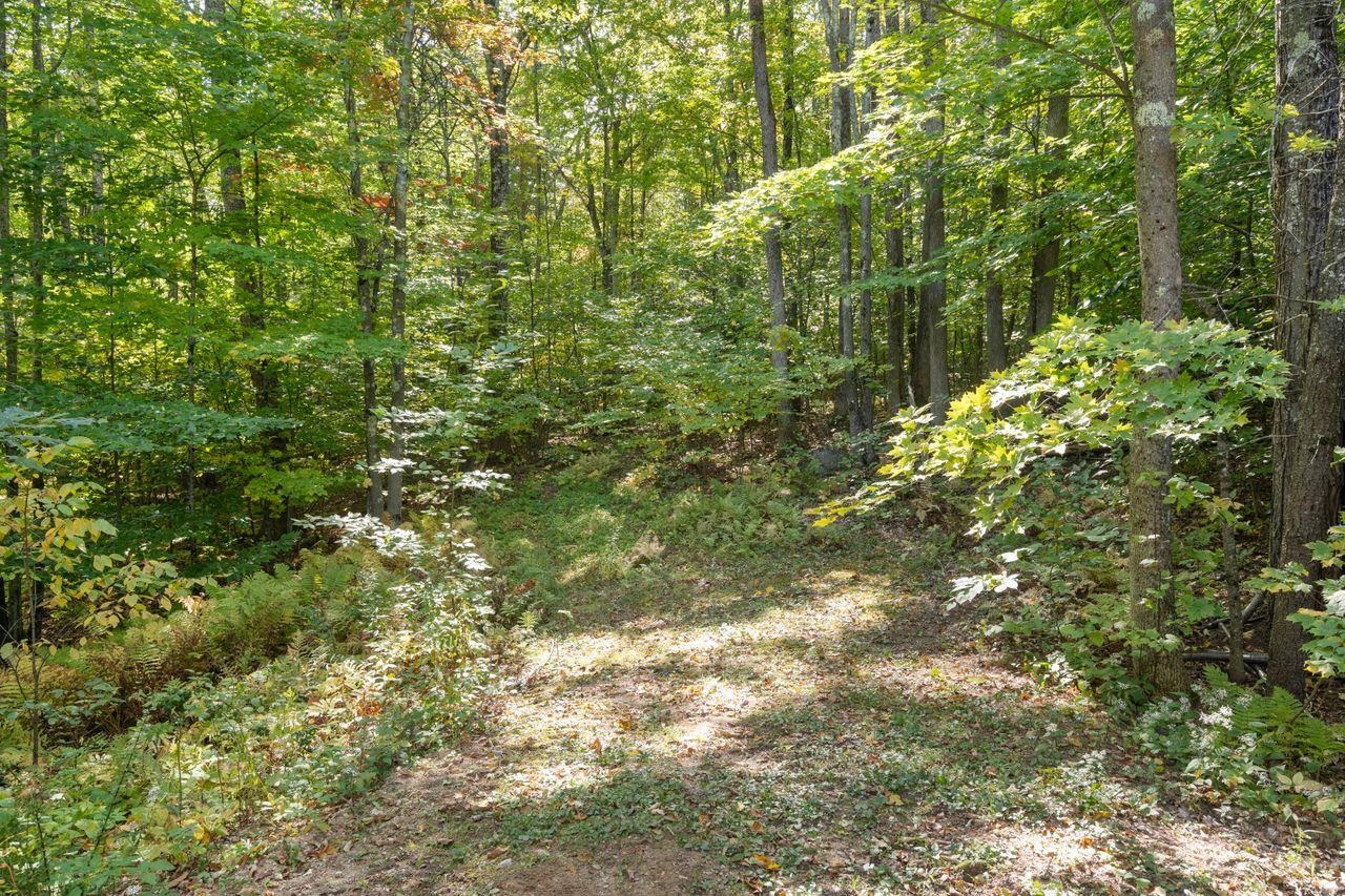 343 Farmington Road Milton, NH 03851 - Photo 40 of 40
