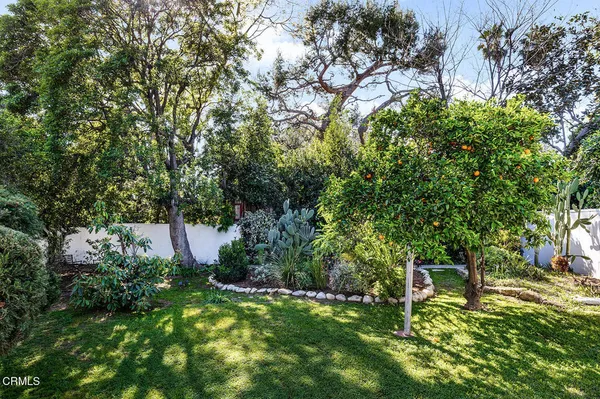 a green field with lots of trees