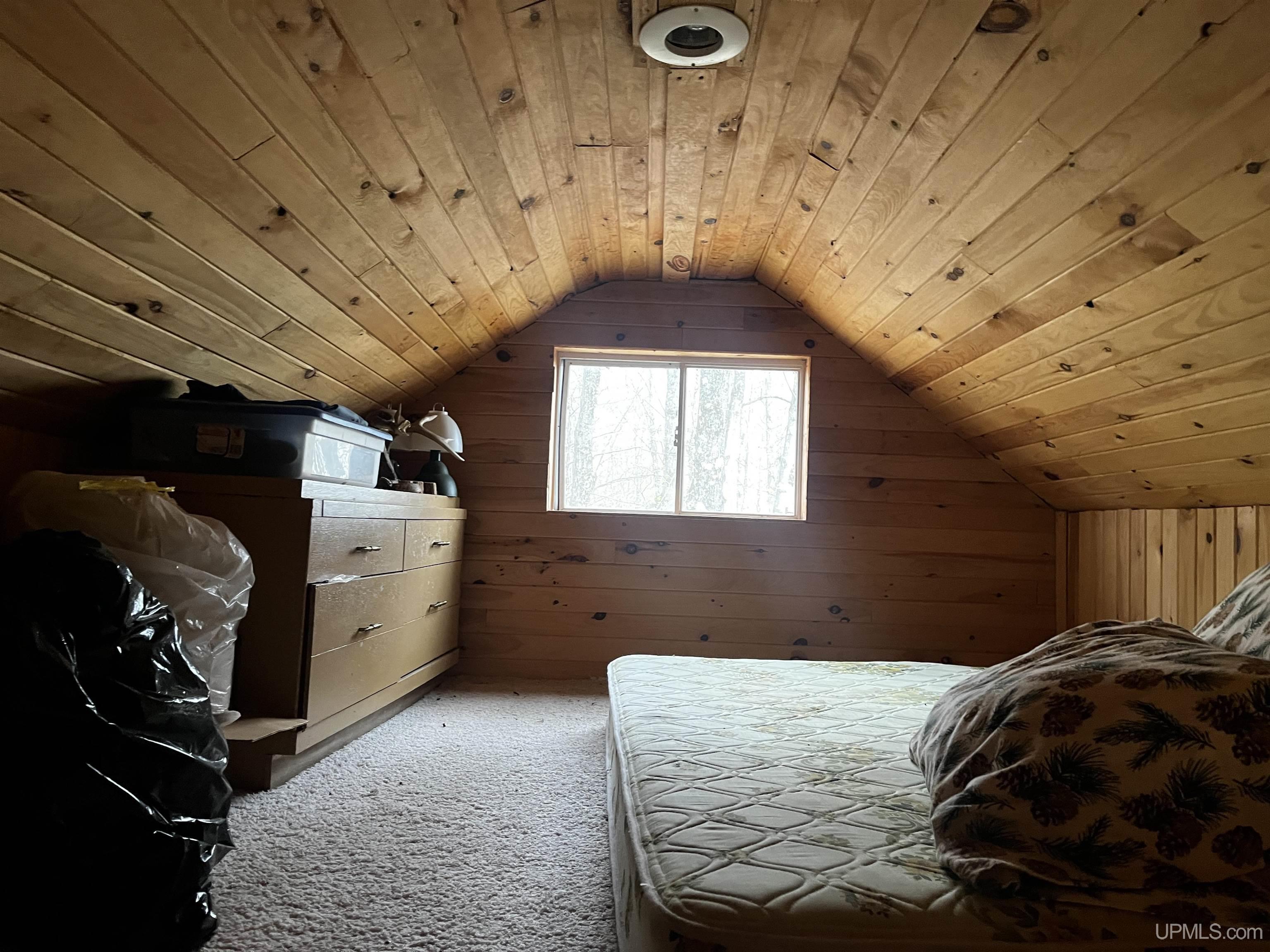 3946 East Storm Road Chatham, MI 49816 - Photo 14 of 37