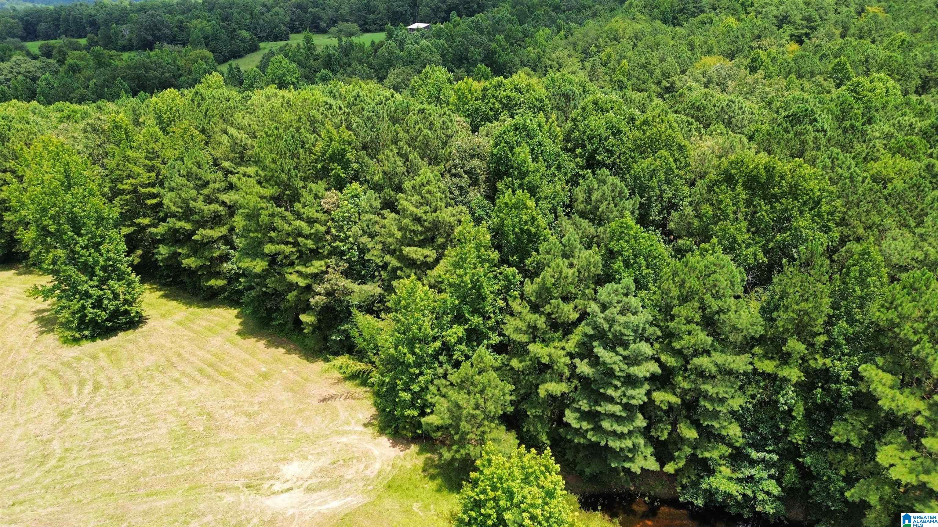 0 Hollow Creek Road, Unit 13 45 Hayden, AL 35079 - Photo 3 of 8