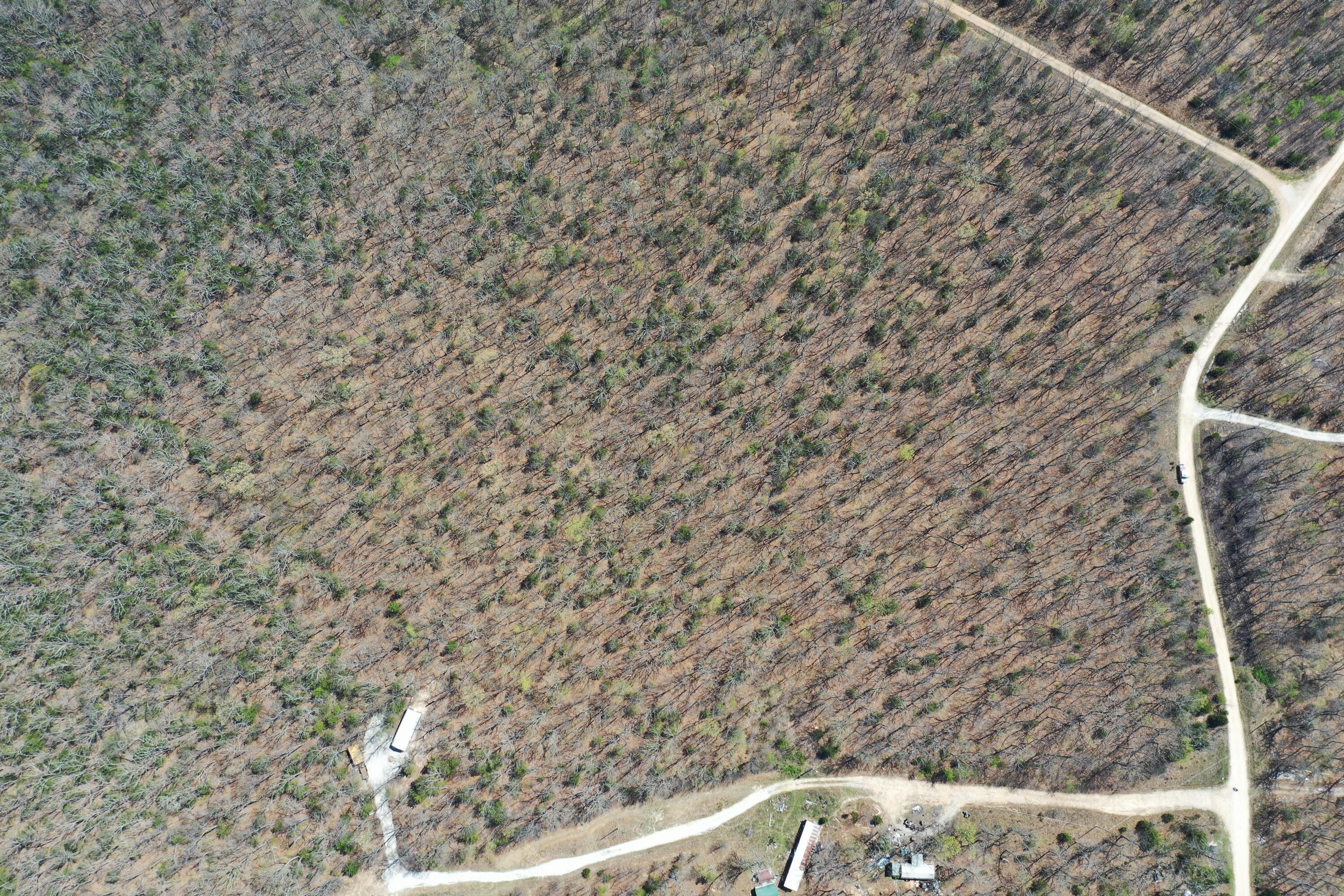 Lot 17 South 50th Road Humansville, MO 65674 - Photo 4 of 7 DJI_0843