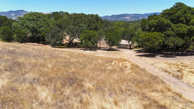 a view of a backyard of a house