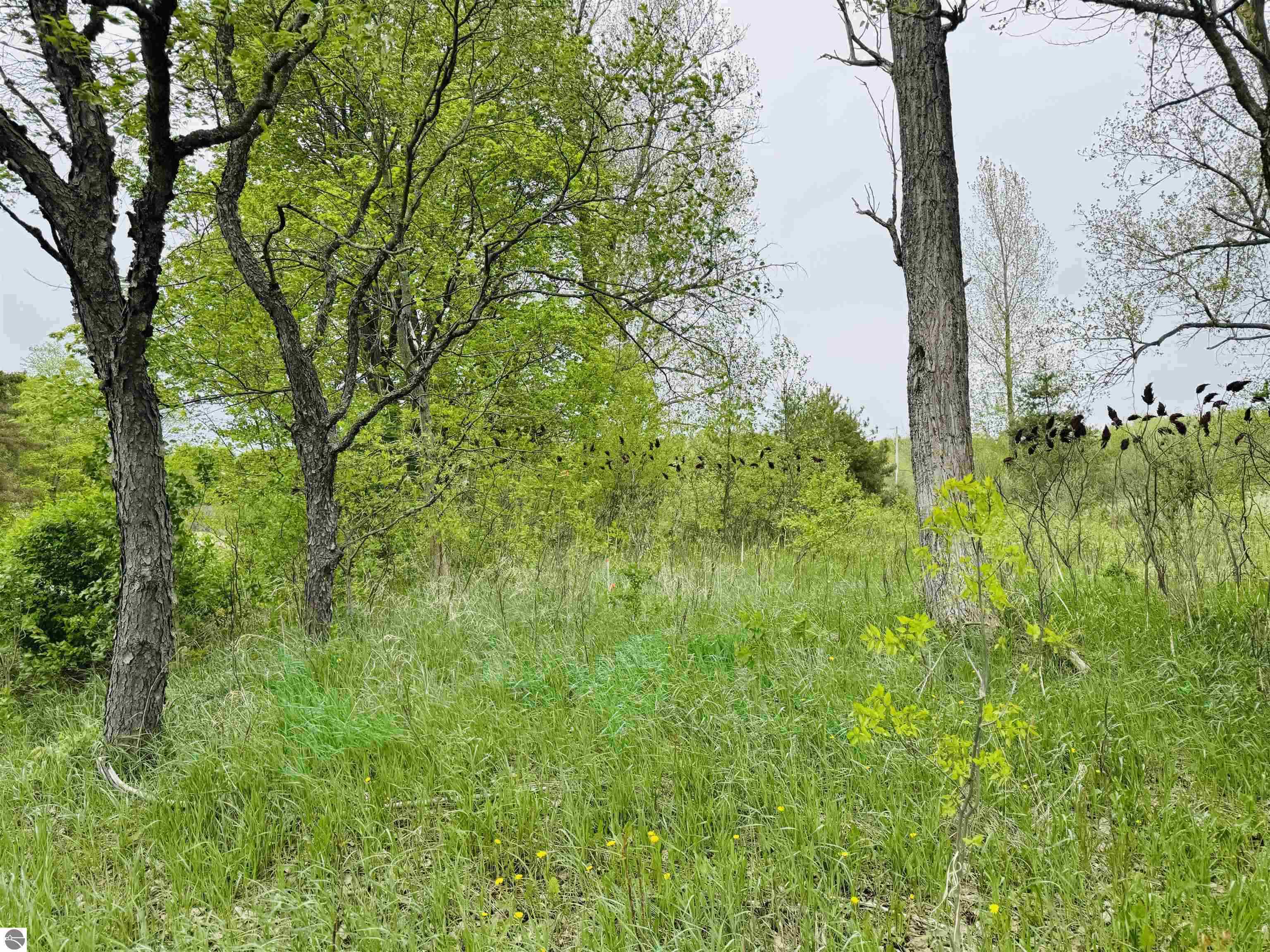Packingham Road Manton, MI 49663 - Photo 9 of 25