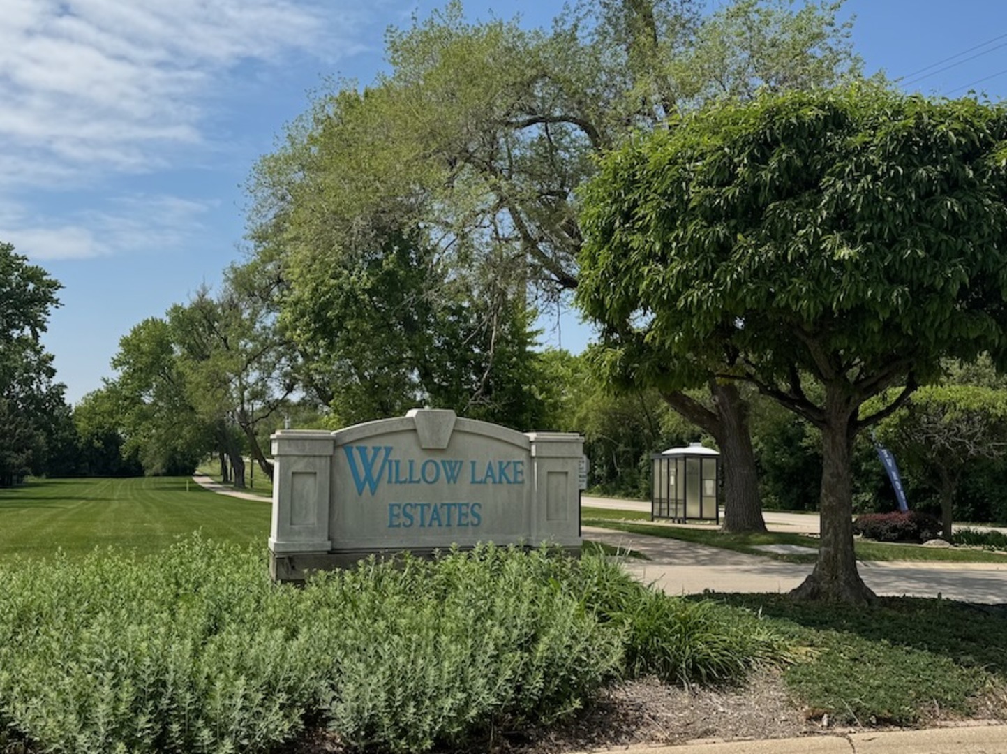 a view of a park that has a tree on it