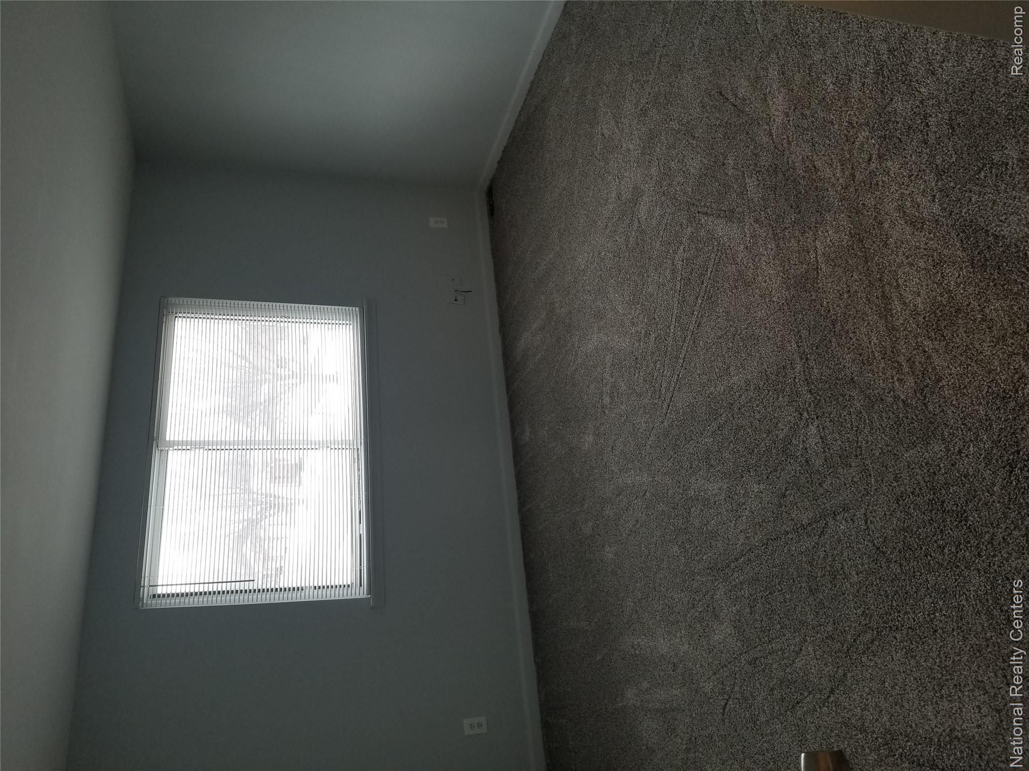 15175 Raphael Terrace Warren, MI 48088 - Photo 15 of 20 Spacious room with light gray wall paint and dark gray carpeting
