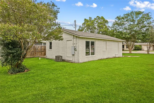 a view of a backyard with plants and large tree