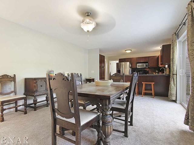 19000 Springfield Road Groveland, IL 61535 - Photo 11 of 30