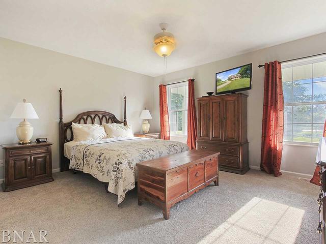 19000 Springfield Road Groveland, IL 61535 - Photo 13 of 30