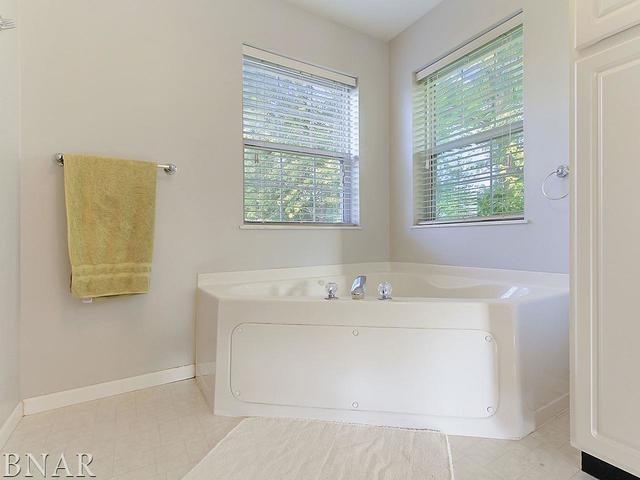19000 Springfield Road Groveland, IL 61535 - Photo 15 of 30