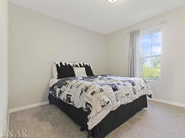 19000 Springfield Road Groveland, IL 61535 - Photo 17 of 30